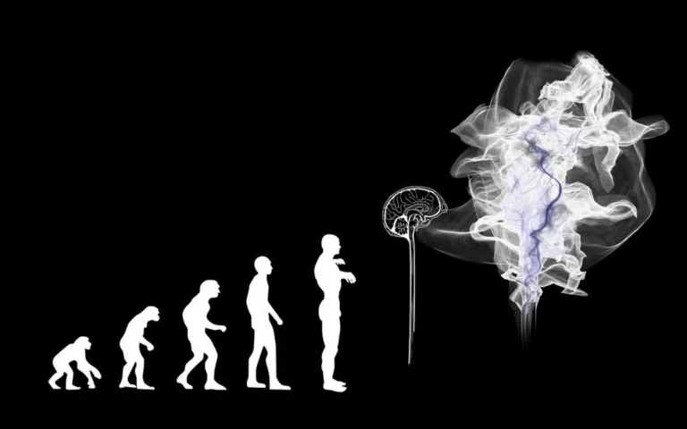Taste is the key to human evolution
